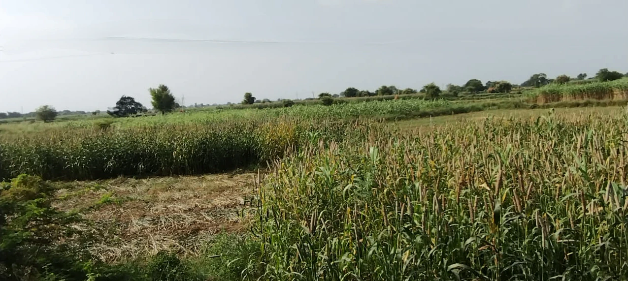 Kanchi, Jharkhand 835204, India
