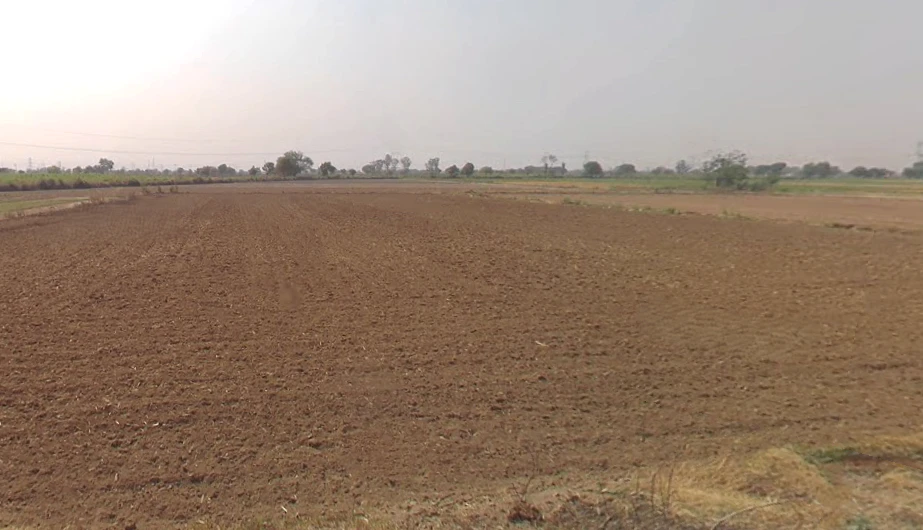 Mohammadpur Nar, Uttar Pradesh 203141, India