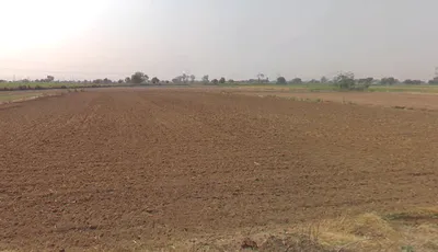 Mohammadpur Nar, Uttar Pradesh 203141, India preview 3