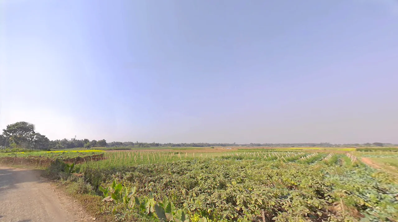 Duttapukur - Nilganj Rd, Kashim Pur, Duttapukur, Gangapur, Shibalaya, West Bengal 743248, India preview 2