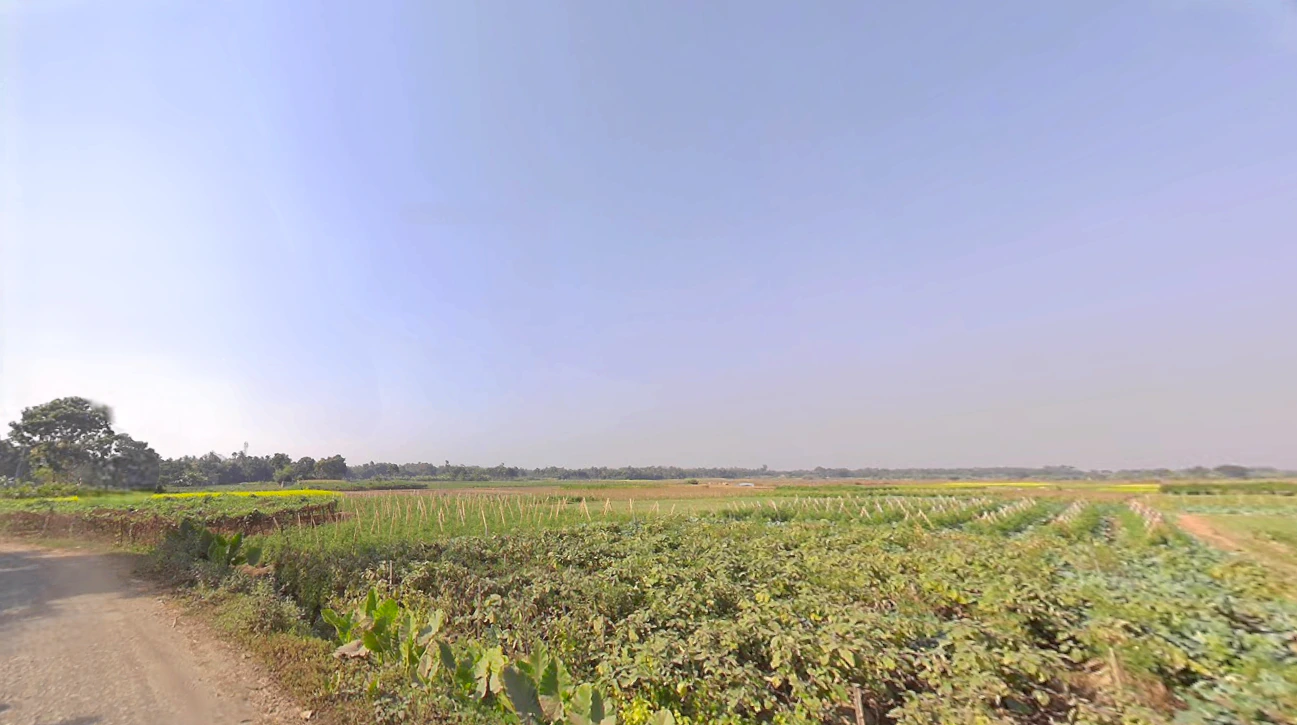 Duttapukur - Nilganj Rd, Kashim Pur, Duttapukur, Gangapur, Shibalaya, West Bengal 743248, India