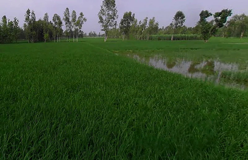 Chataki, Uttar Pradesh 247121, India preview 3