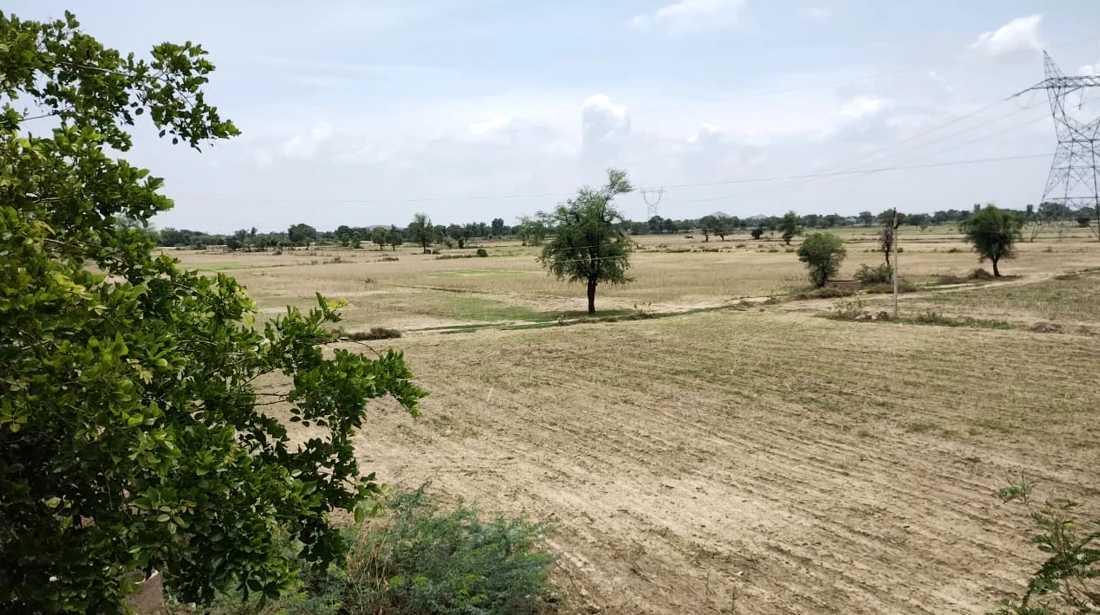 Barnagar, Madhya Pradesh 456771, India