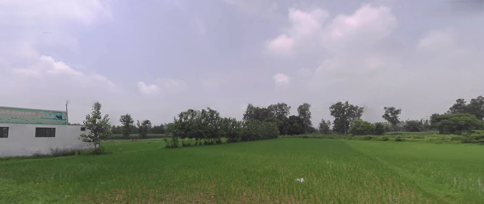 Bhagwanpur, Uttarakhand 247661, India