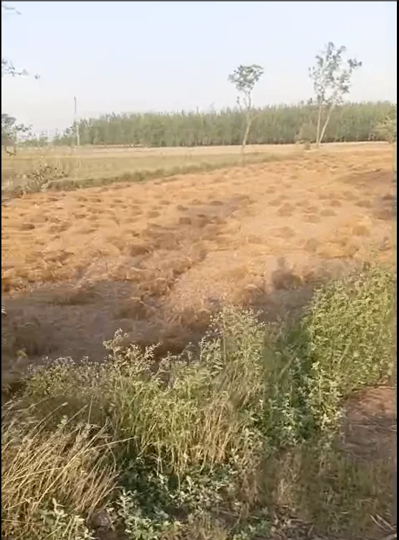 Kairana, Uttar Pradesh 247774, India