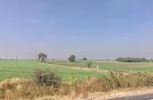 VVP4+RM8, Sanwer Rd, Dharampuri, Jetpura, Madhya Pradesh 453551, India preview 2
