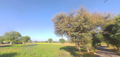 Nangal Kalan, Rajasthan 303712, India preview 3