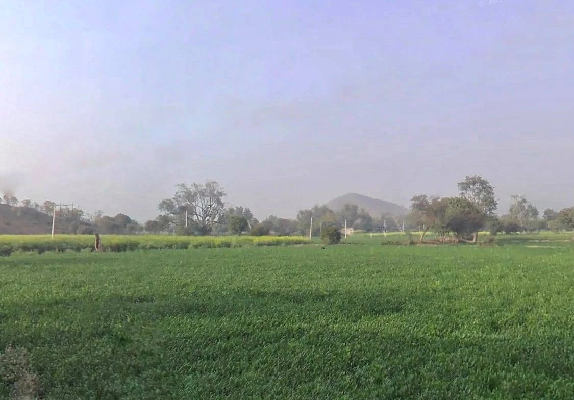 7MXQ+M66, Patan, Rajasthan 301414, India