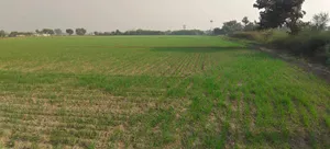 Ogar, Uttar Pradesh 202136, India preview 3