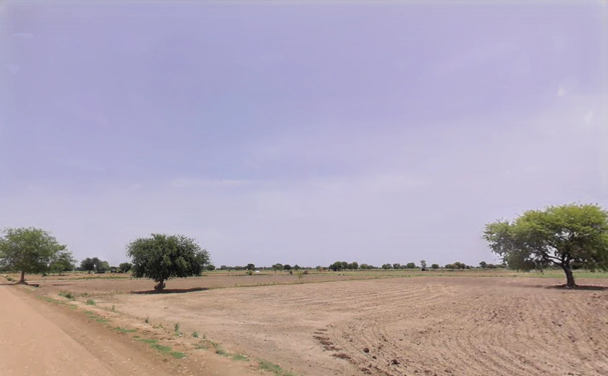 JJJC+X29, Parkham, Uttar Pradesh 281202, India