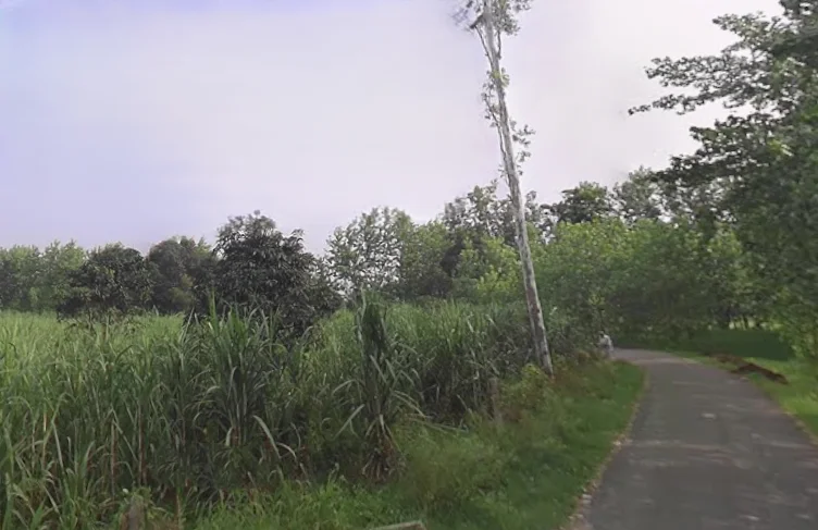 Behat, Uttar Pradesh 247121, India preview 2