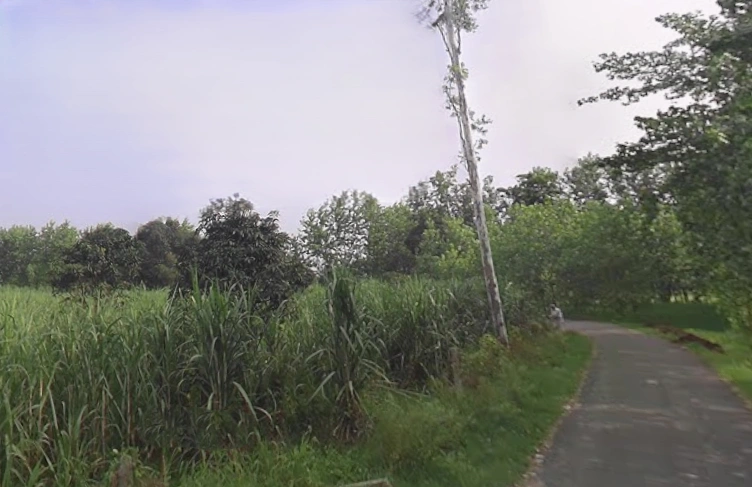 Behat, Uttar Pradesh 247121, India