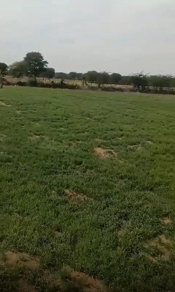 FHWW+V98, Bhogpur, Uttar Pradesh 201314, India