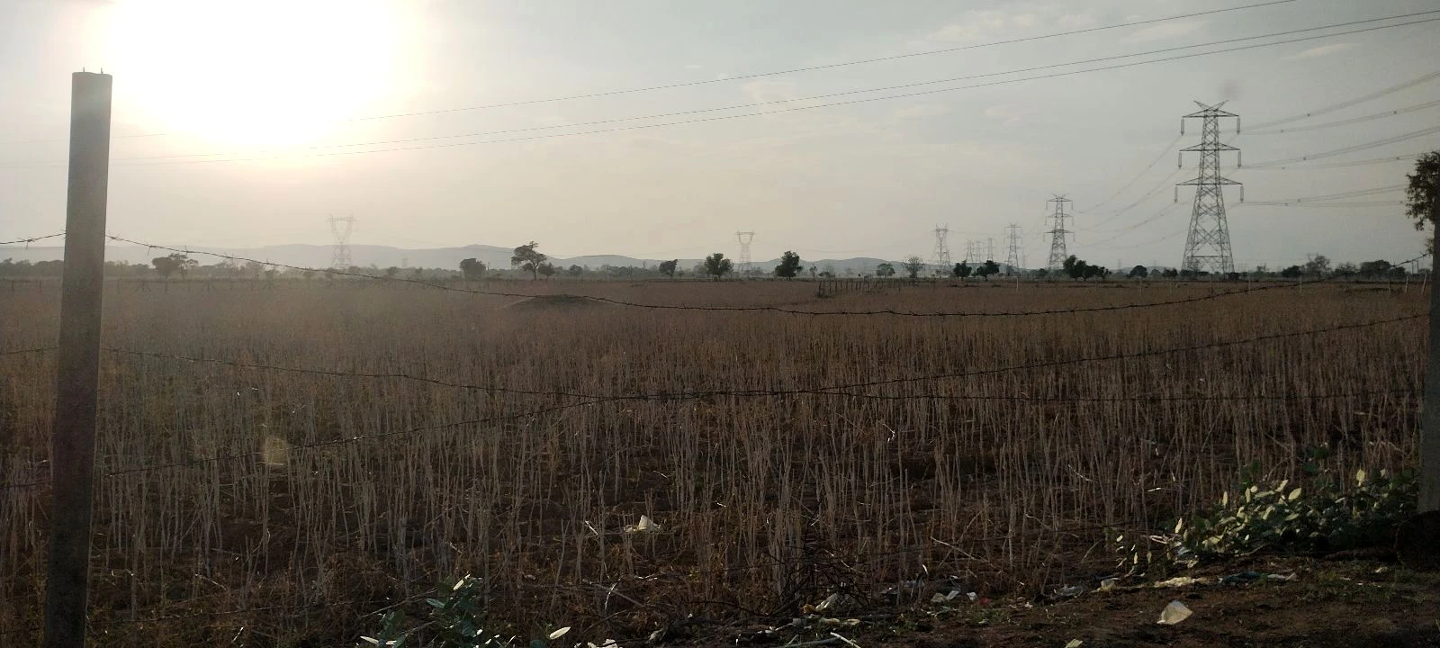 Kherli Veeran, Rajasthan 301021, India