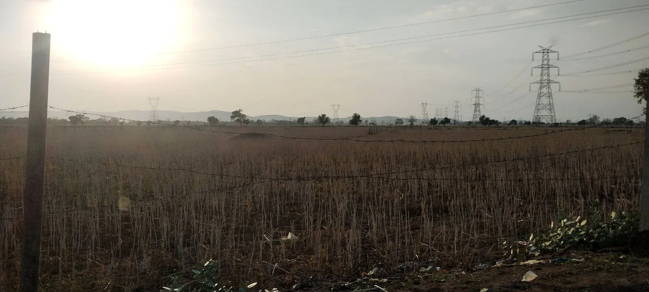 Kherli Veeran, Rajasthan 301021, India preview 3