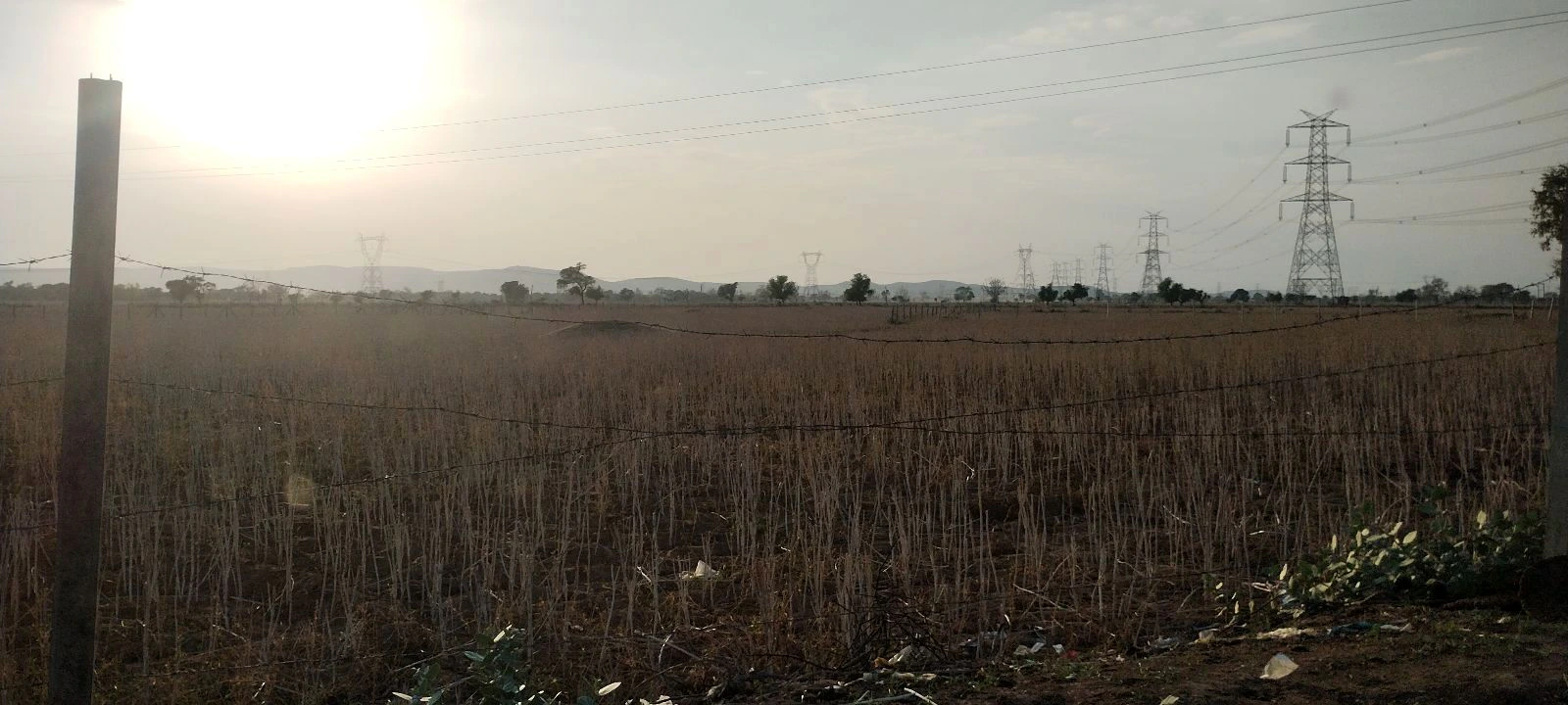 Kherli Veeran, Rajasthan 301021, India