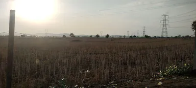 Kherli Veeran, Rajasthan 301021, India preview 3