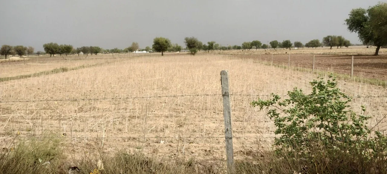 Imlali, Rajasthan, India preview 3