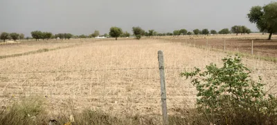 Imlali, Rajasthan, India preview 3