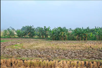 Bagli, Madhya Pradesh 455227, India preview 3