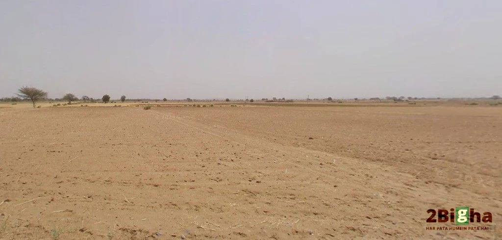Barodameo, Rajasthan 301021, India