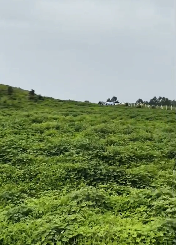 JWM8+GHF, Indore, Mirjapur, Madhya Pradesh 452020, India