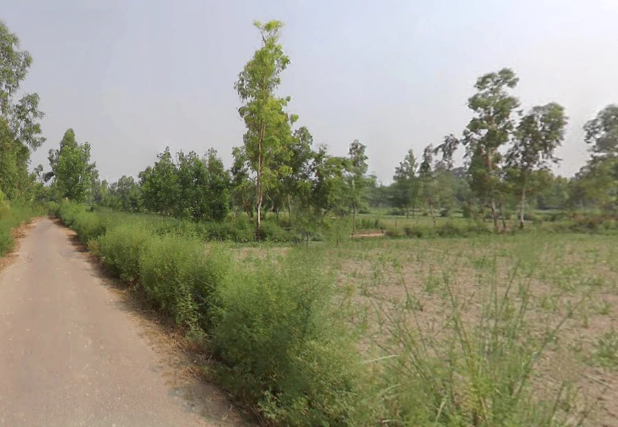 Bisawali Musta, Uttar Pradesh 244225, India