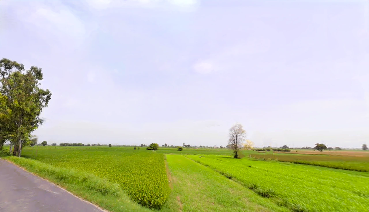 Kalheri, Haryana 132114, India