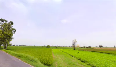 Kalheri, Haryana 132114, India preview 3