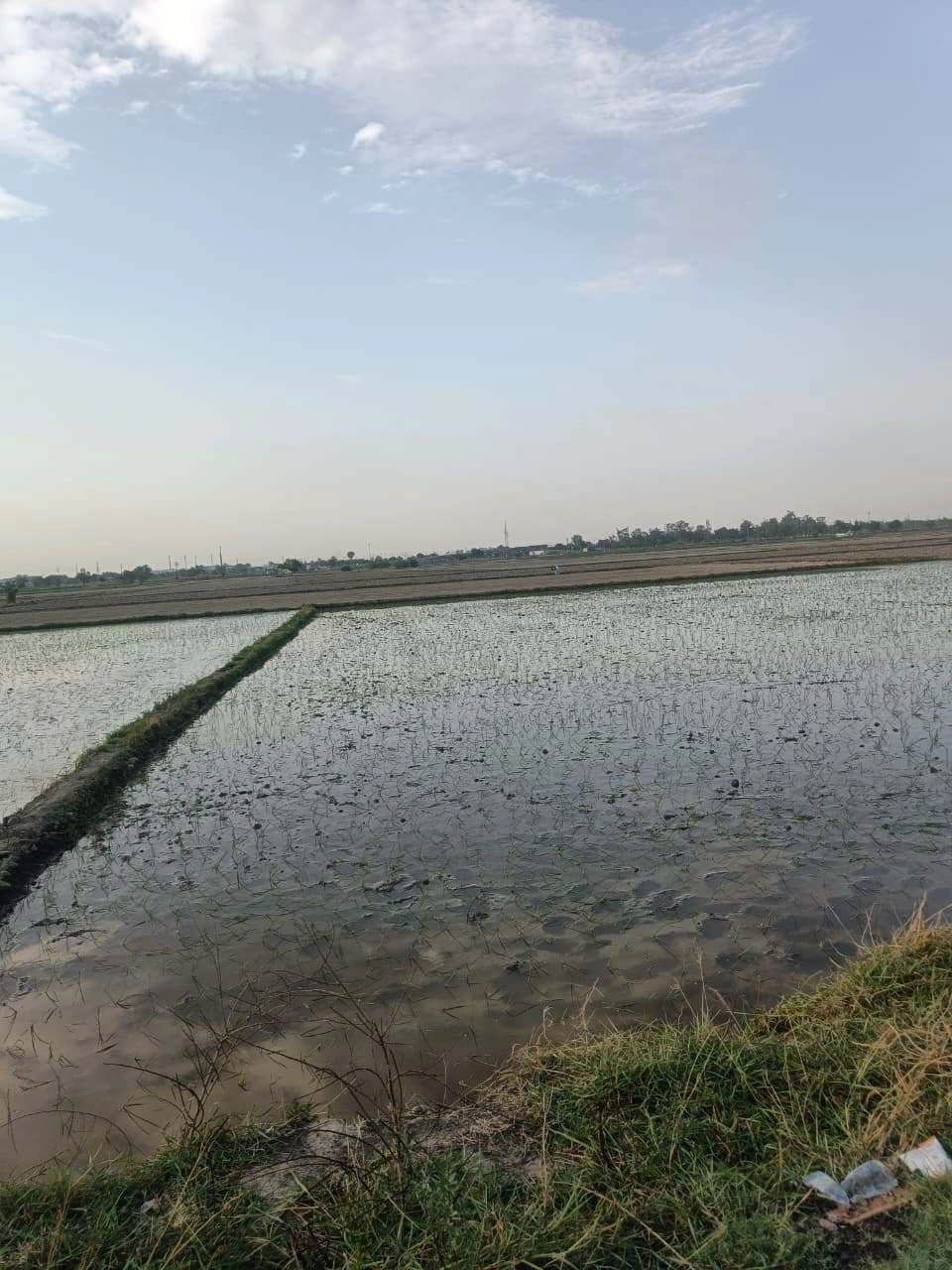 Aou, Rajasthan, India