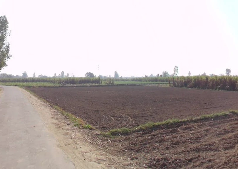Mawana-Kithaur-Hapur Marg, Kithaur, Uttar Pradesh, India