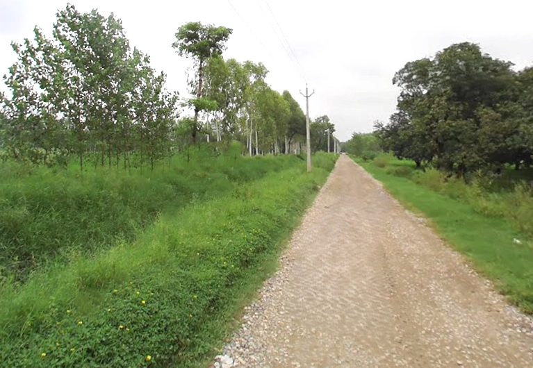 Maheshwari Kalan, Uttar Pradesh 247120, India