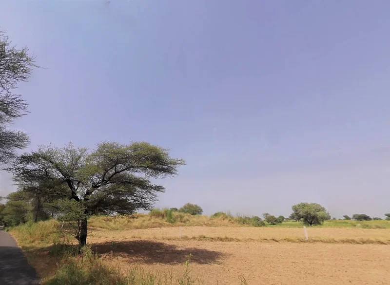 Nakipur, Haryana 127201, India preview 2