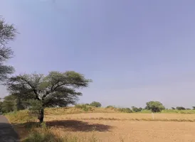 Nakipur, Haryana 127201, India preview 2