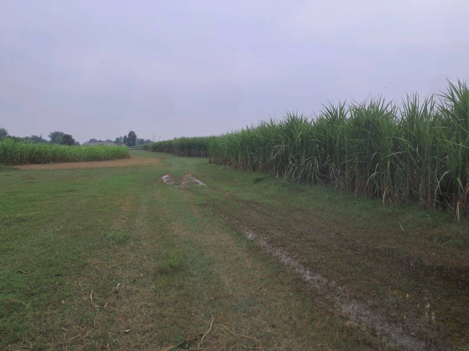 Q745+H9, Ayodhya, Sita Rampur, Uttar Pradesh 272129, India - Photo 2