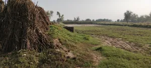 Semli, Rajasthan, India preview 5