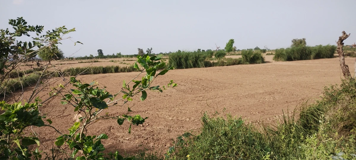 Nagla Chahar, Rajasthan 321203, India