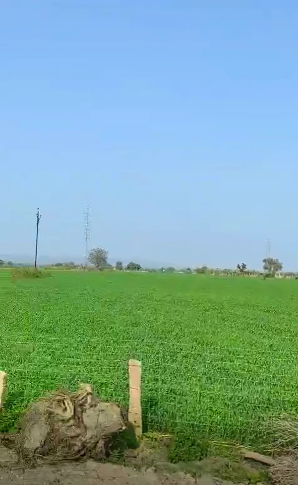 FQMF+48M, Mandsaur, Khajurna, Madhya Pradesh 458778, India