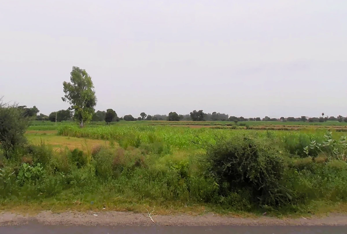 Baluda, Haryana 122103, India