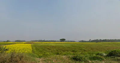 Khardaha, West Bengal, India preview 2