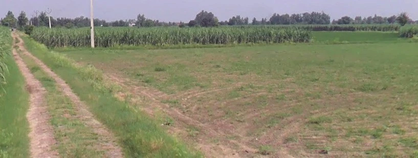 Alaumrod, Madhya Pradesh 465001, India