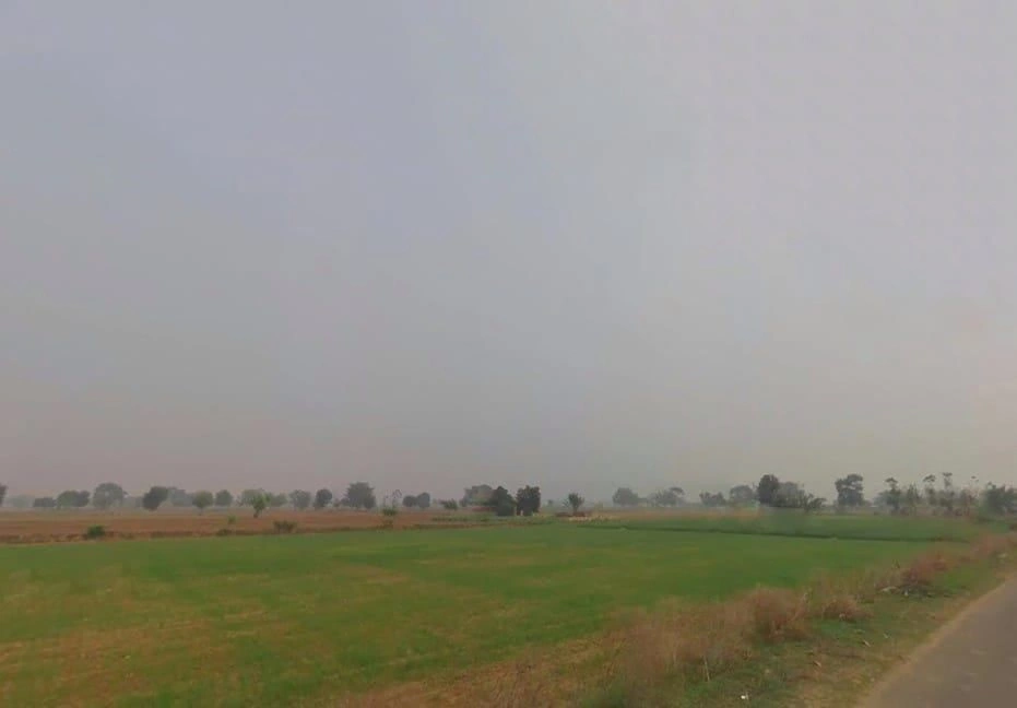 RVW5+XVC, Alapur Jatt, Rajasthan 301411, India