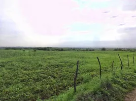 J7P4+Q8 Chak Makheeda, Rajasthan, India preview 2