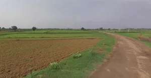 Ujjain, Madhya Pradesh, India preview 3