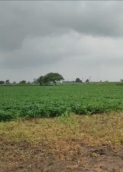 Samnapur, Raisen, Madhya Pradesh 464573, India preview 3