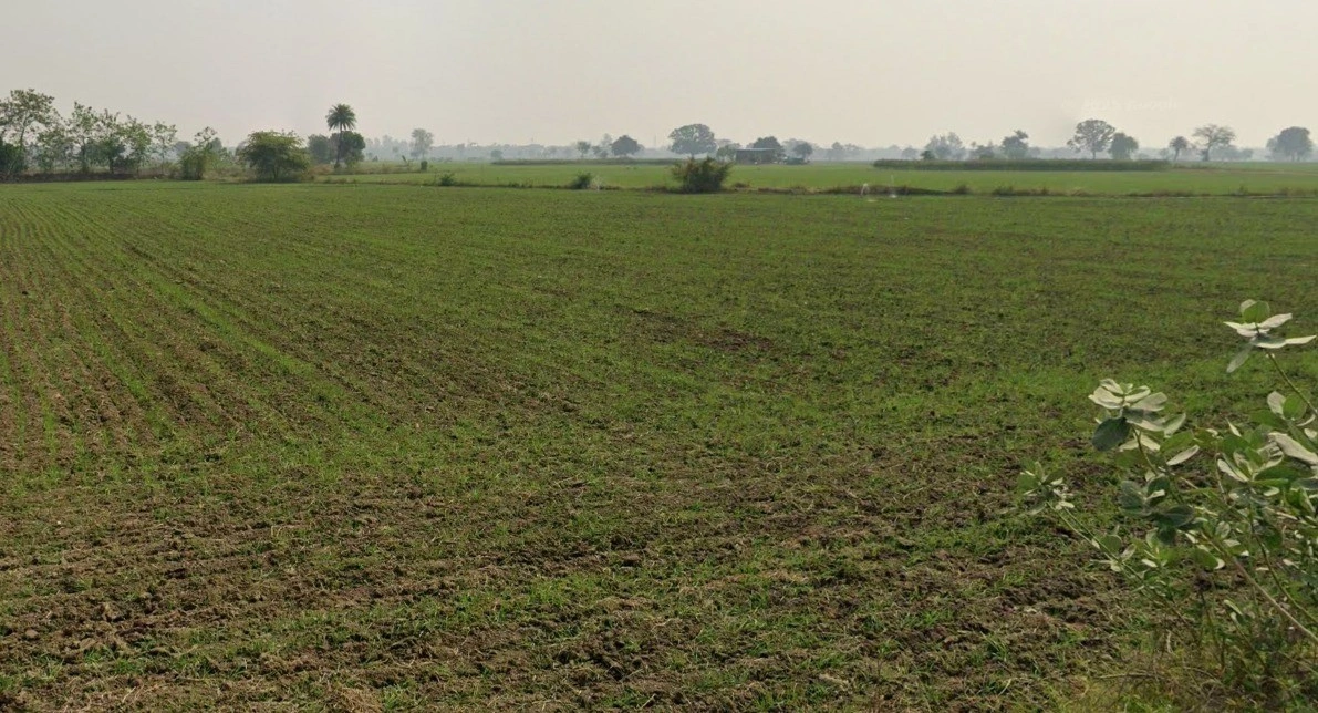 Indore, Madhya Pradesh, India