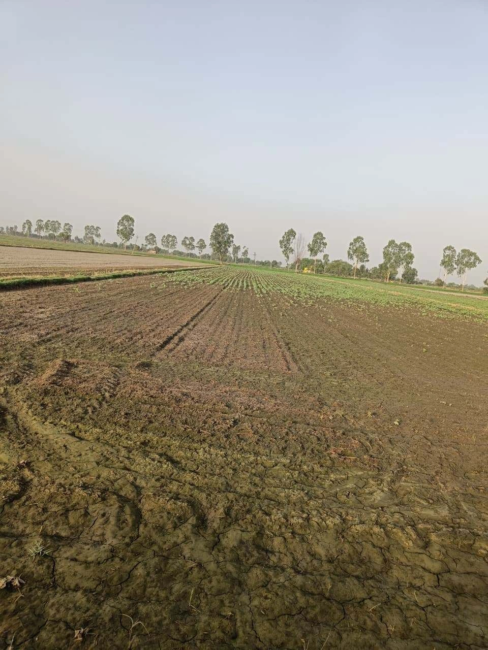 Tentigaon, Uttar Pradesh, India