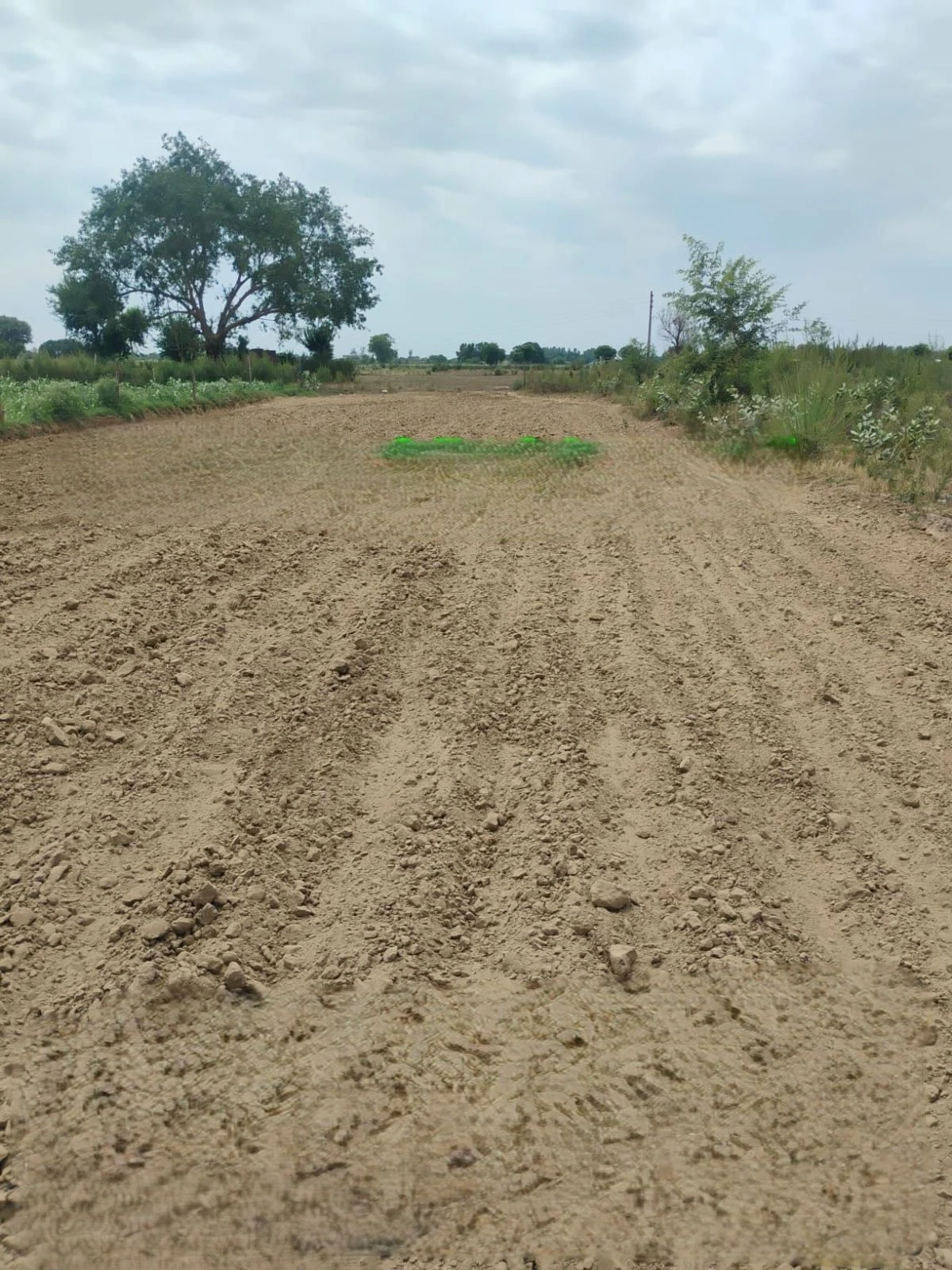 Jewar Banger, Gautam Buddha Nagar, Uttar Pradesh, India