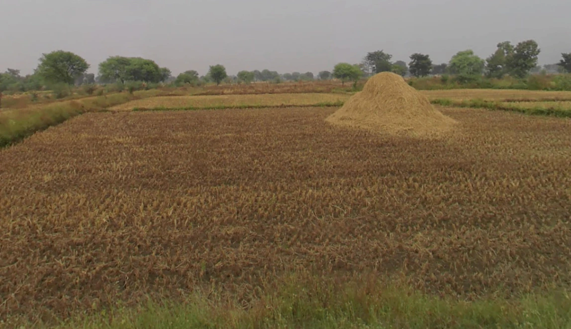 Saiha, Chhattisgarh, India