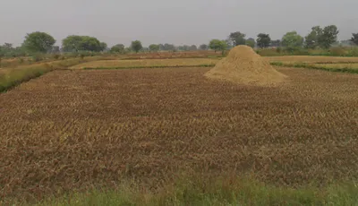 Saiha, Chhattisgarh, India preview 2